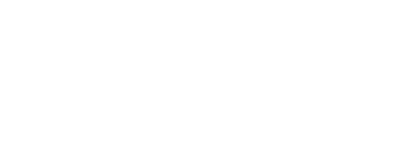 anacarolinediniz.com.br